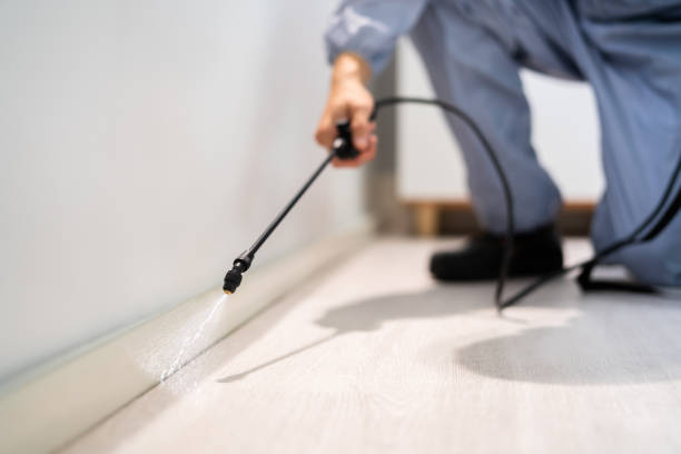 Licensed Pest Control service in Tutwiler, MS - Show Me Pest Control