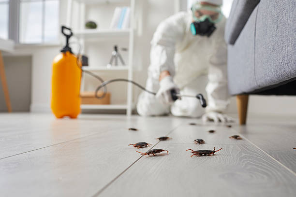 Post-Treatment Bed Bug Interceptor Monitoring in Tutwiler